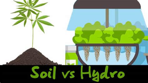 chanel hydro marijuana|Hydro Weed Vs. Soil: Pros And Cons .